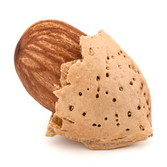 Almond nut in shell and shelled isolated on white background clo