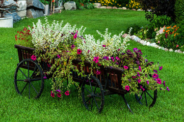 Fototapeta na wymiar Vintage wooden cart with summer flowers