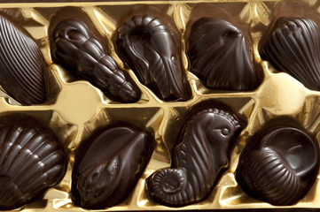 dark chocolates