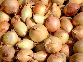 onions