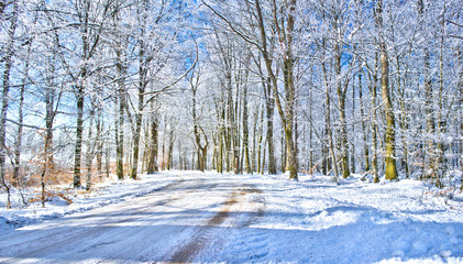 Winter road in the Swedish countryside