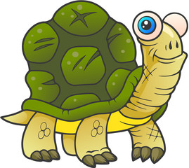 turtle
