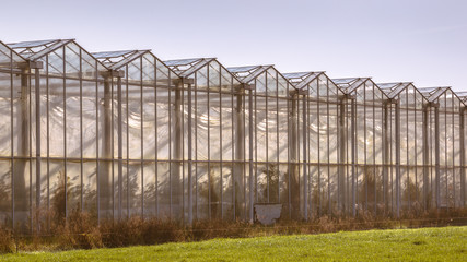 Greenhouse facade outside