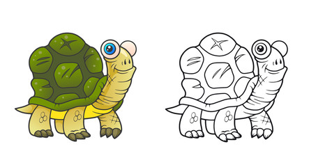 turtle