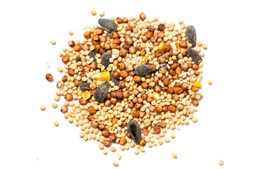Bird seed mix isolated on white background
