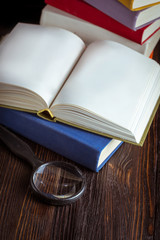 Open book in vintage light tone color