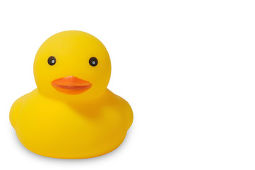 Rubber yellow duck on white background