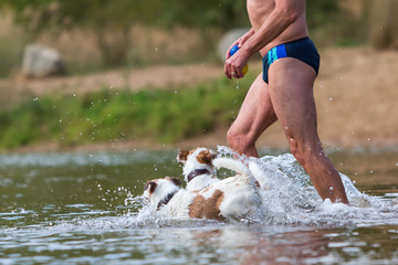 man plays with dogs in the river