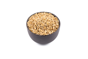 bowl of organic oat grains