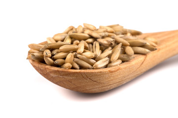 organic oat grains