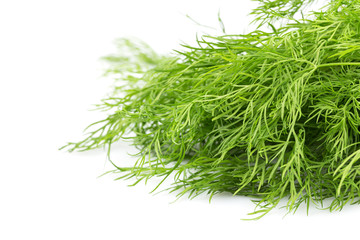 Fresh organic dill