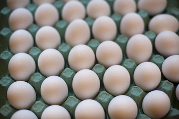 White chicken eggs, in a carton cardboard