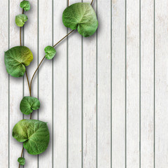 natural wooden background with green leaves