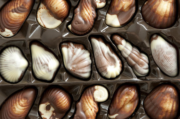 variegated chocolate pralines