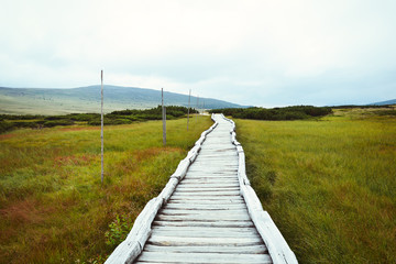 Fototapeta premium Wooden footbridge leading through mountain peat bog