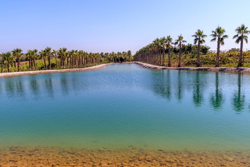 Lago no Jardim Buddha Eden - Bombarral Portugal