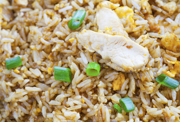 Close - up Fried rice chicken with green onion