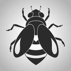 insect icon