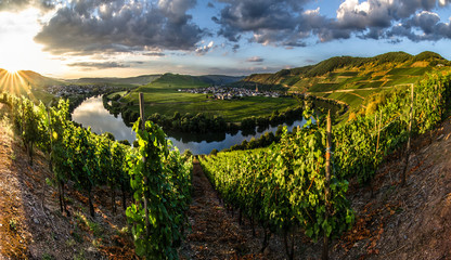 sunset over the mosel river