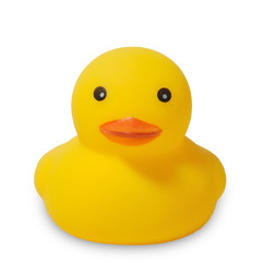 Rubber yellow duck on white background