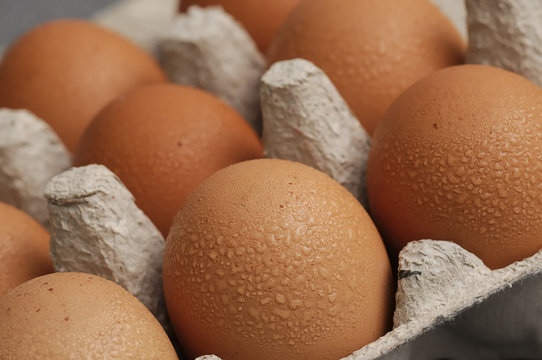 Eggs displayed in a carton