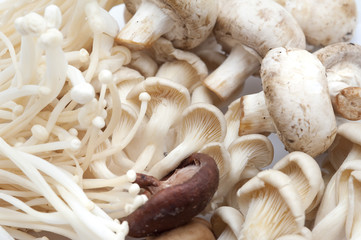 Assoprted fresh edible Japanese mushrooms