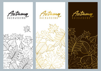 Set of fall banners with black and golden outline autumn leaves. Vector autumnal illustrations and calligraphy lettering. Design elements for poster, banner, flyer backgrounds.