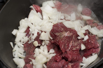 Diced beef with beer and onion