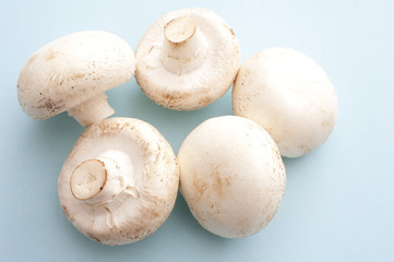 Five white mushrooms