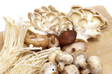 Selection of edible mushrooms
