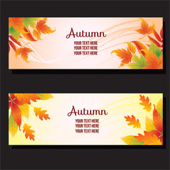  coloured autumn banner