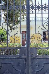 Fototapeta premium Closeup detailt of beautiful old ornate metal door outdoors background
