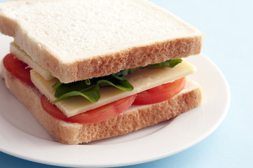 Tomato, lettuce and cheese sandwich