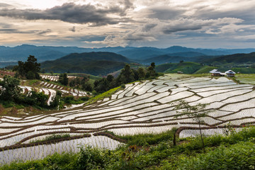 Landscape ,Pa Pong Piang rice terraces at District Mae chaem of Chiang Mai Province Country of Thailand .