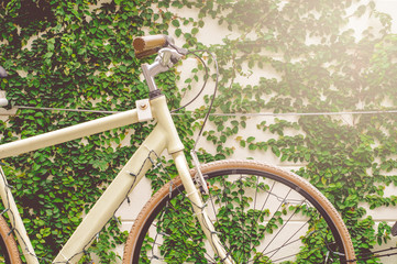 Fototapeta na wymiar Retro Yellow Bicycle On Green Leaves Wall Background In Vintage Style