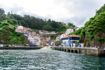 Naklejka premium Piękny widok na morze z zielonego lasu