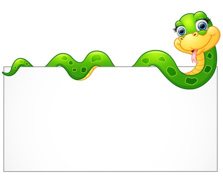 Happy green snake with blank sign