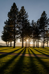 Early evening on a golf course, view from the fairway
