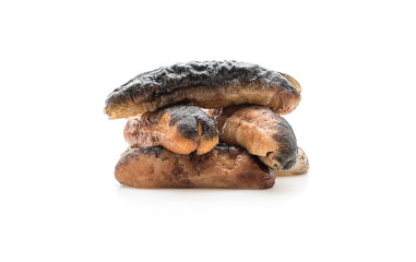 sea ​​cucumber on white