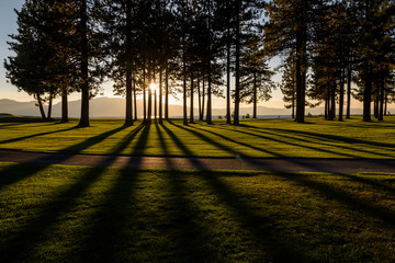 Early evening on a golf course, view from the fairway
