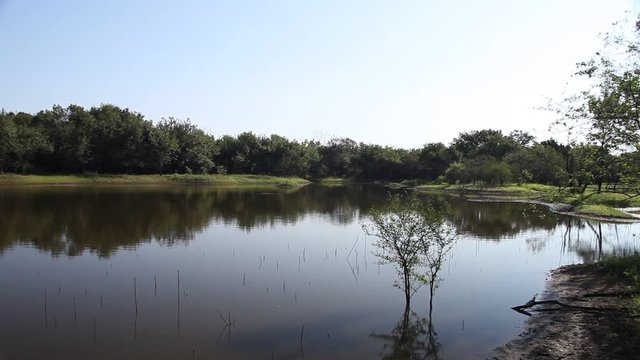 Calm pond in the LLELA nature area in Lewisville, Texas.