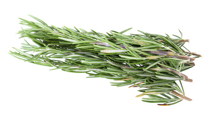 Fototapeta premium rosemary isolated on white background