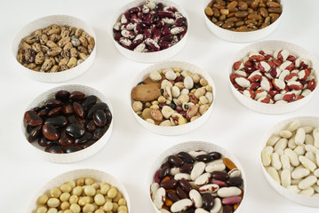 different kind of bean