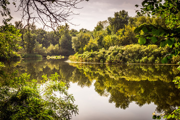 Зеркальная река. Отражение леса в воде