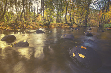 forest stream in autumn, colorful stitching, flowing water falle