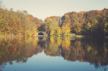 Lake in autumn, colorful robes, yellowed, colorful leaves on tre