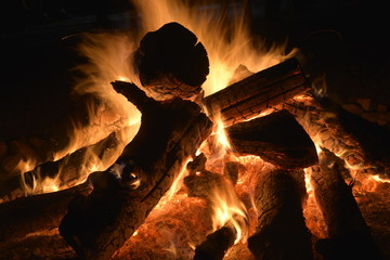 doğada kamp ateşi & odun ateşi