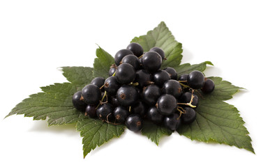 Fresh black currant isolated on white background