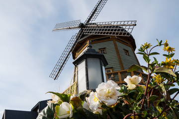 Riga wind mill

