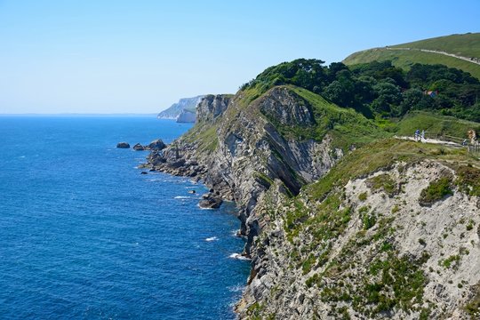 Elevated view along the rugged Jurassic coastline at Lulworth Cove.